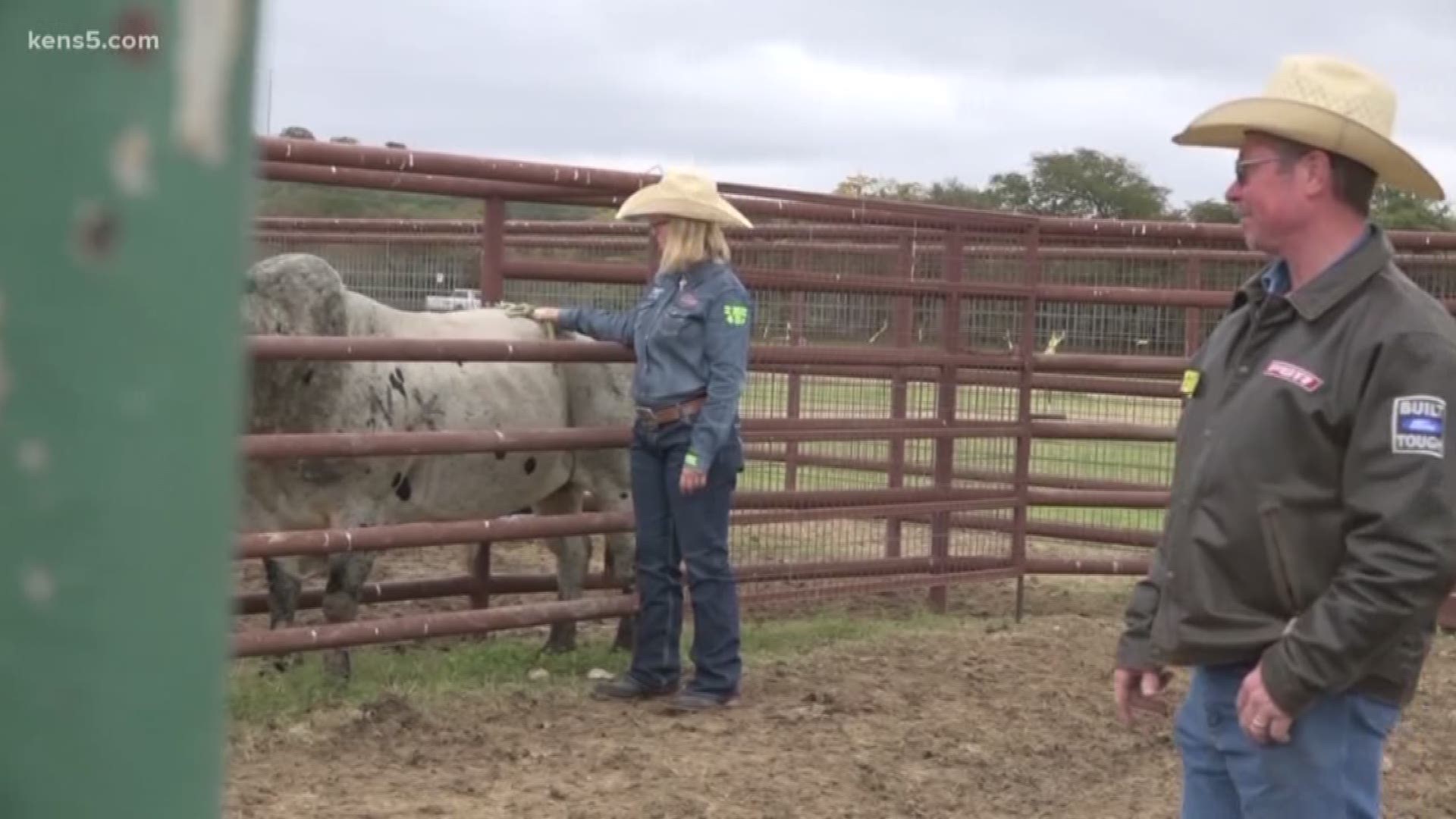 Bull riding is much more than a sport for one South Texas family.