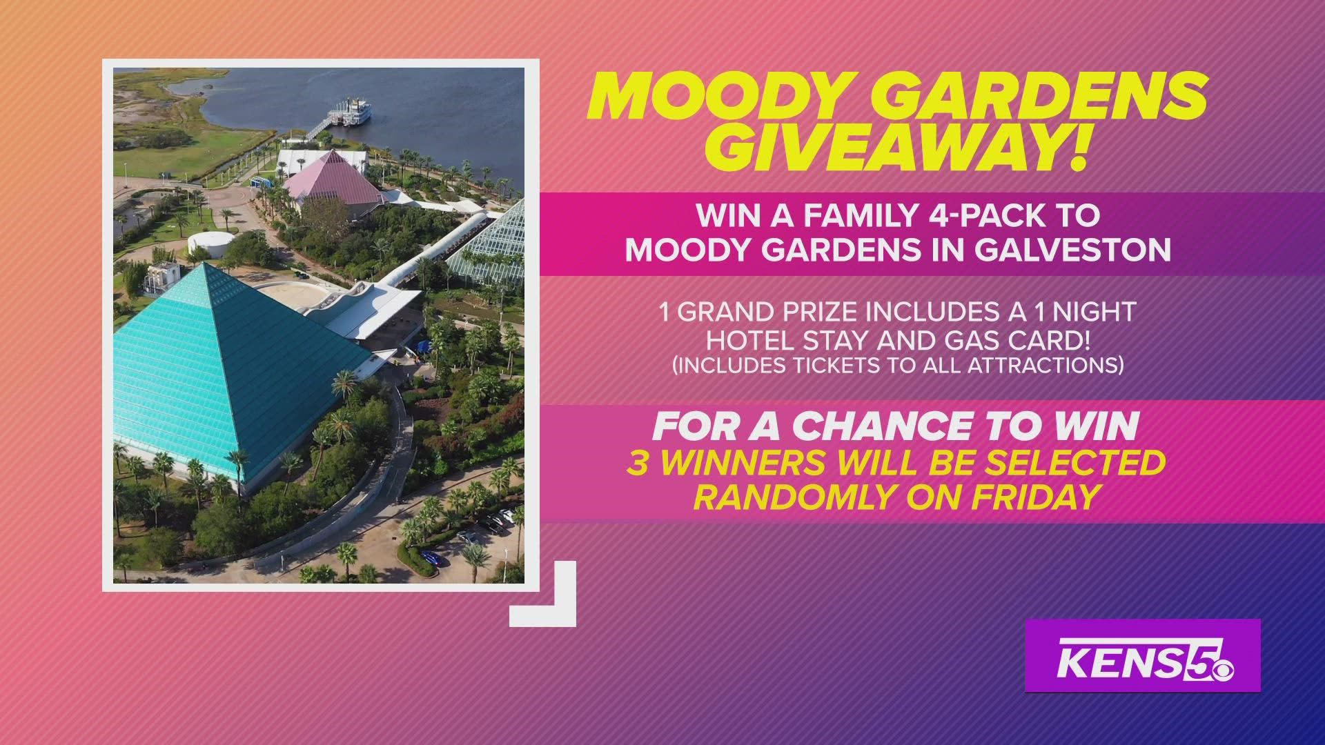 Special Moody Gardens giveaway for you and your family Great Day SA