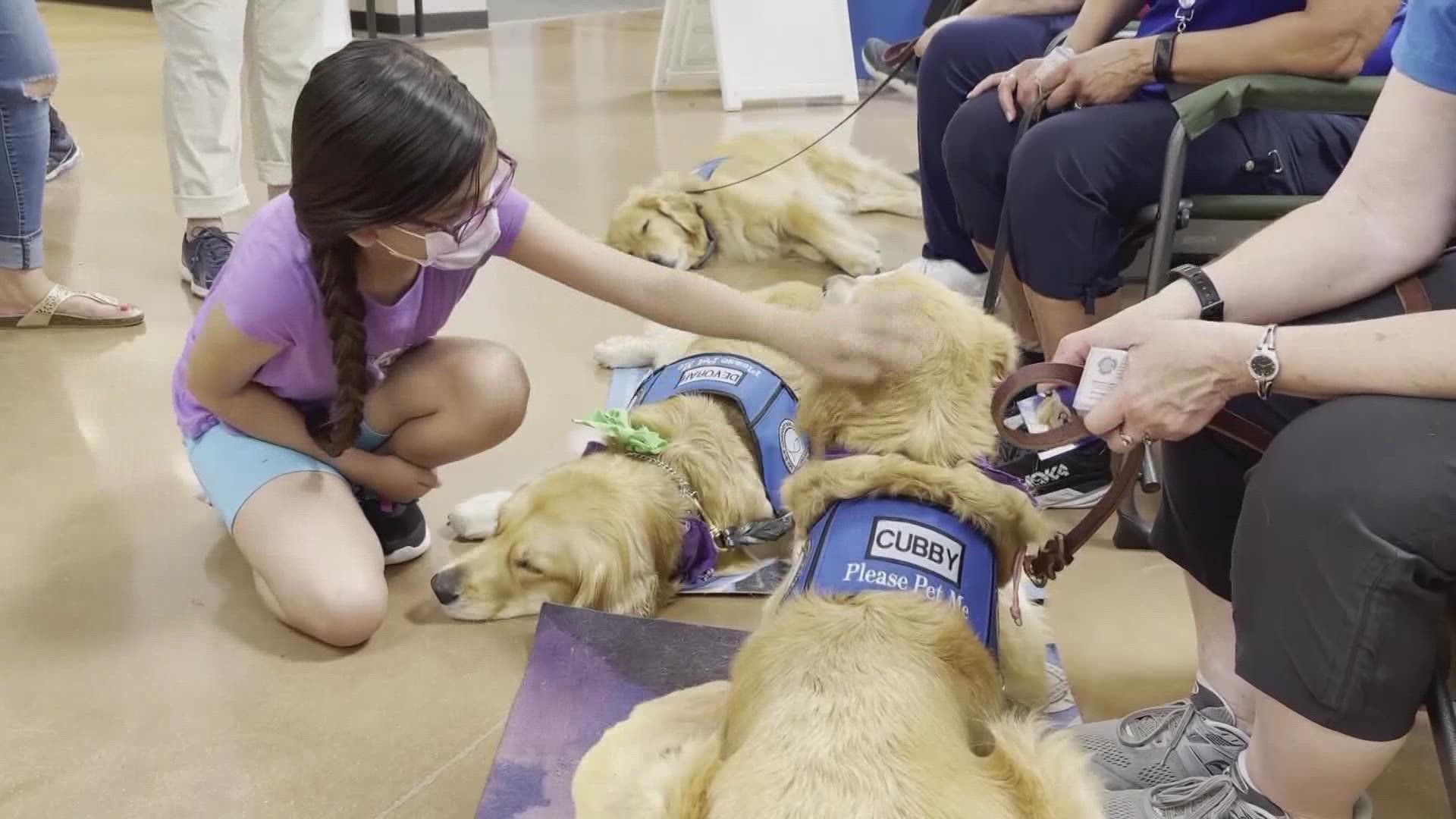 "Whatever the emotions are, that the kids or the parents or staff are having or community, they see these golden retrievers and we see smiles."
