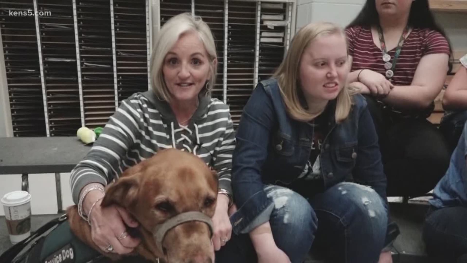 For 8 years high school junior Rachel Benke has had a service dog named Taxi by her side each day at school because she's had epileptic seizures since birth.