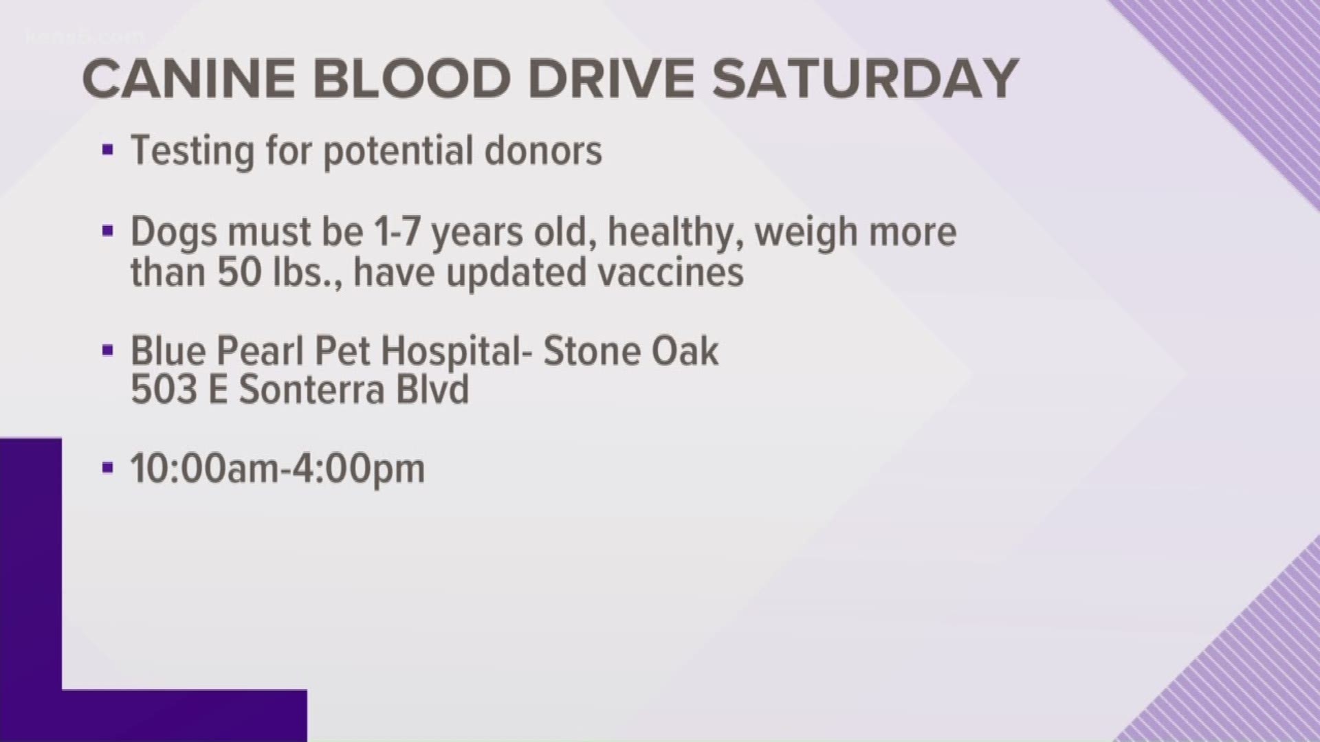 Did you know dogs can donate blood to other pets in need? This Saturday is a dog blood drive at Blue Pearl Pet Hospital.
