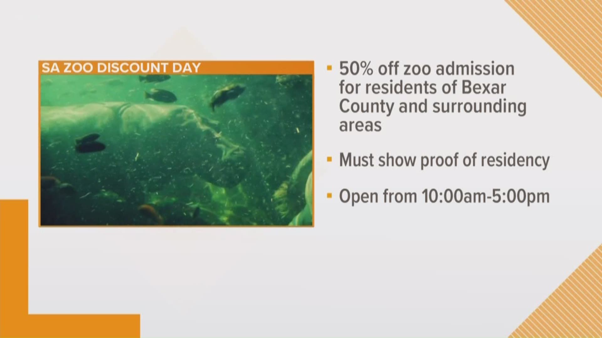 San Antonio Zoo is offering locals half-priced admission for Presidents Day