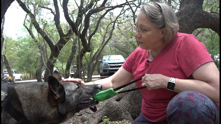 'Tails of the Alamo City' First-of-its-kind guide to benefit military working dogs | Mission SA