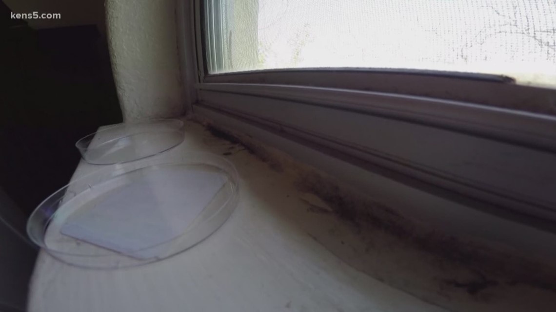 Property management company on trial for moldinfested housing at