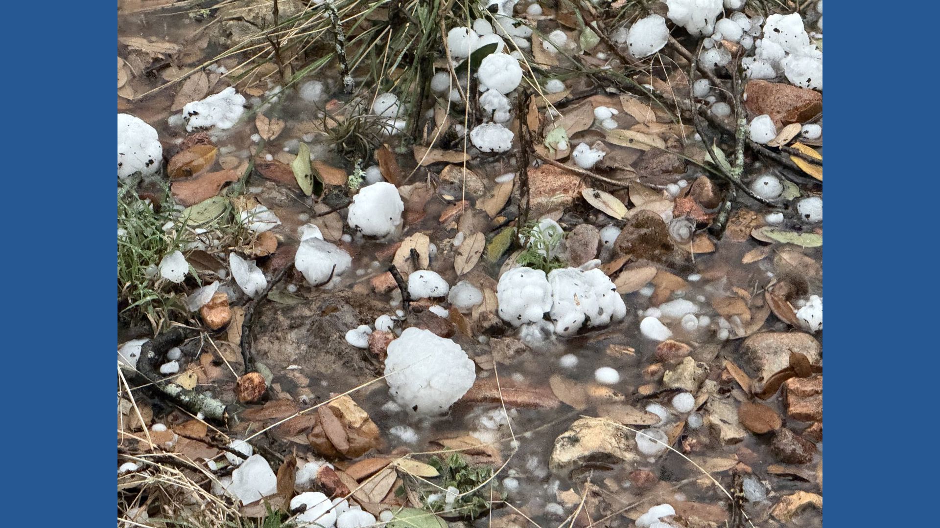 PHOTOS: Parts of the Texas Hill Country get rocked by hail | kens5.com