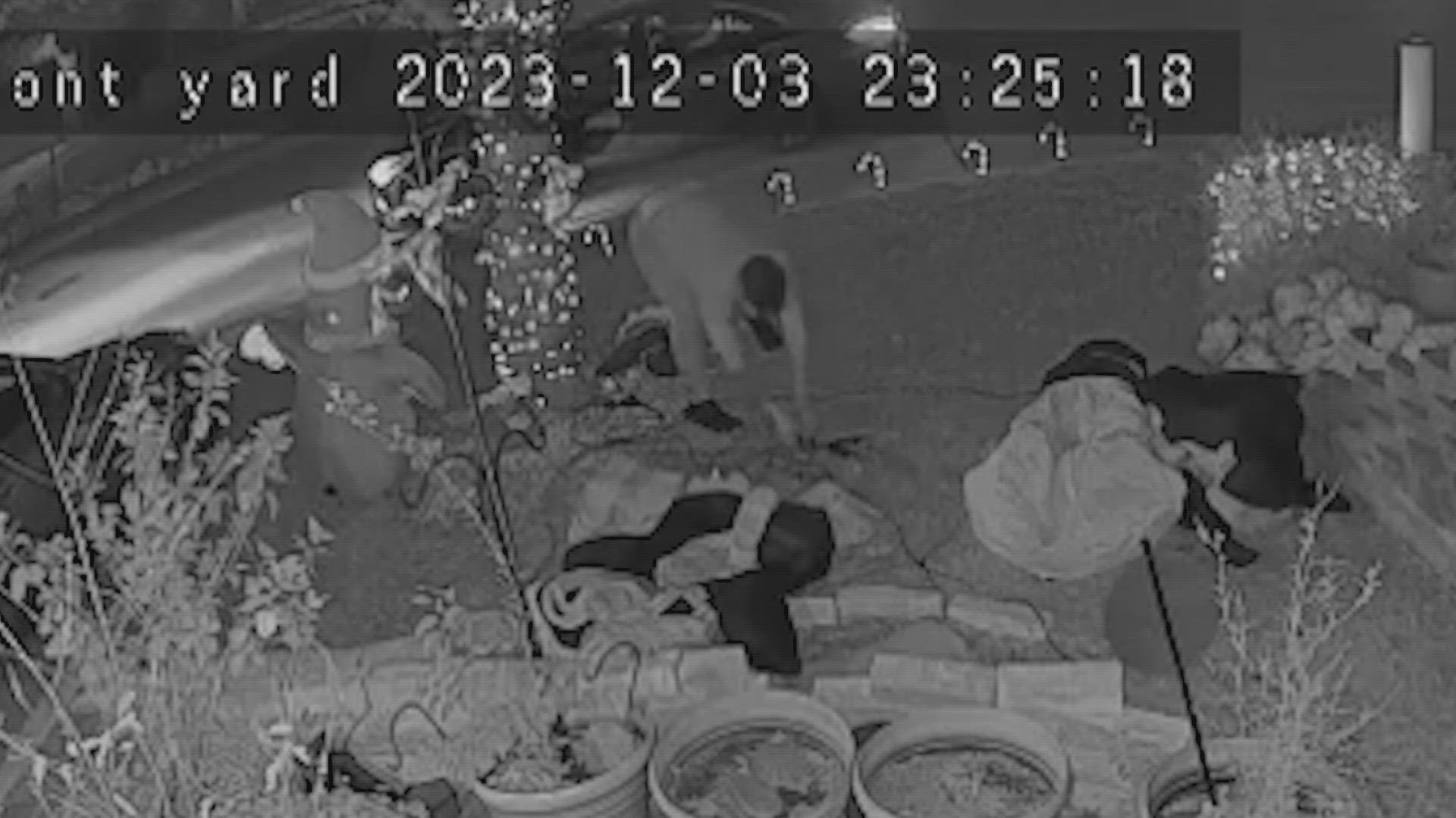 Grinches caught on camera stealing Christmas lights in northwest-side neighborhood