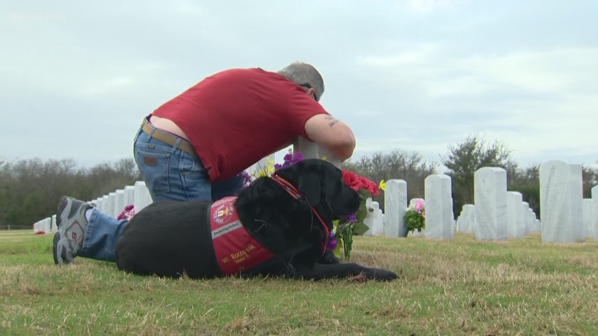To get through the pain of losing his Marine son, Alex Ramon II has embraced his son's service dog Rocco to get him through the worst times.