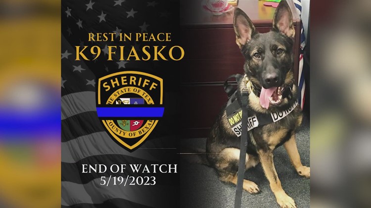 Bexar County K9 officer found dead by handler, BSCO says