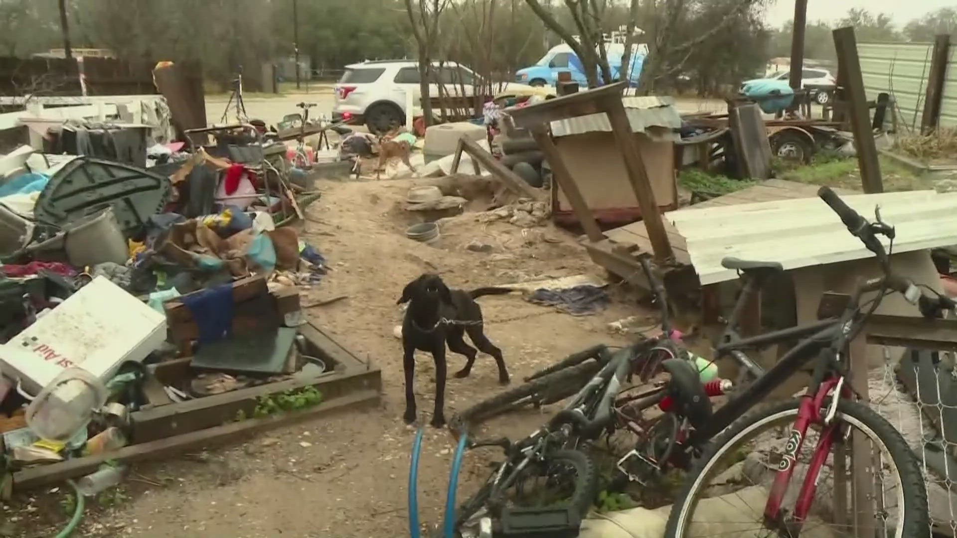 Officials say the dogs were chained to trees, junk and living with garbage.