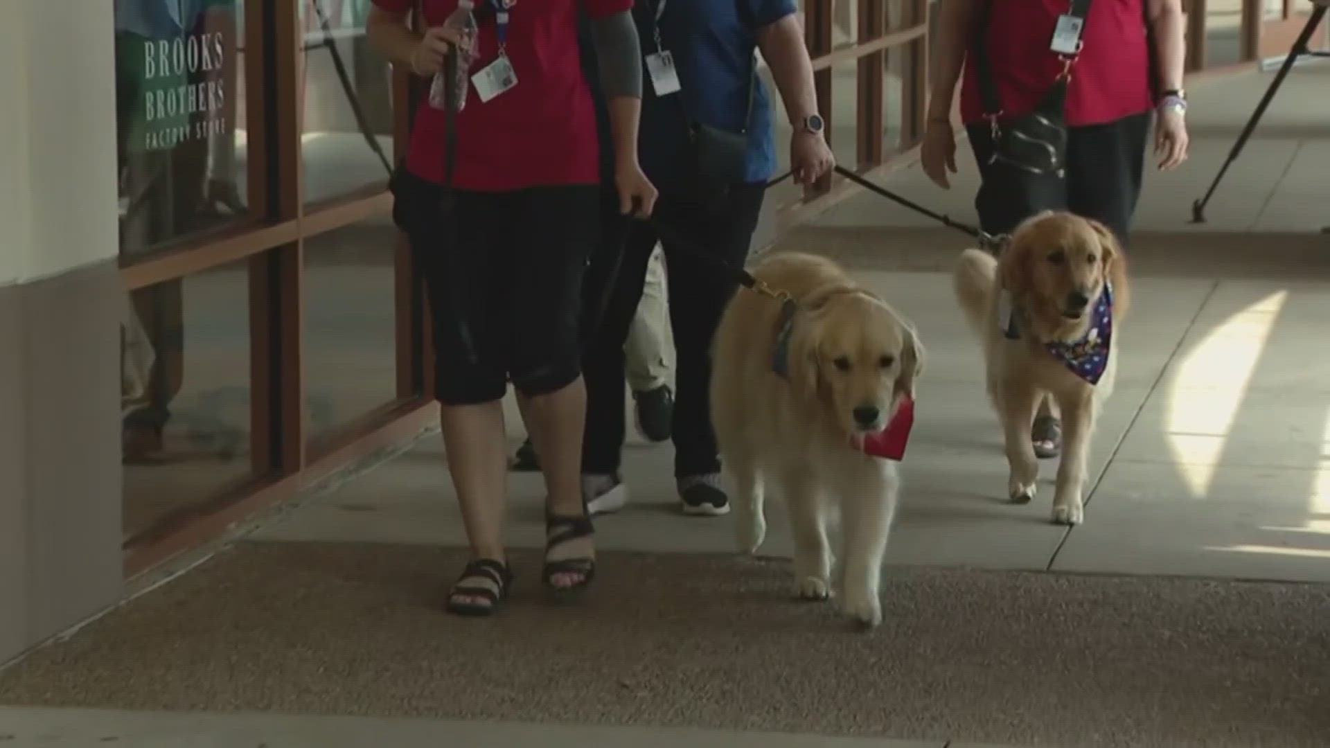 Volunteers with several comfort dogs went store to store offering folks a chance to take their mind off what happened back in May, when eight people were killed.