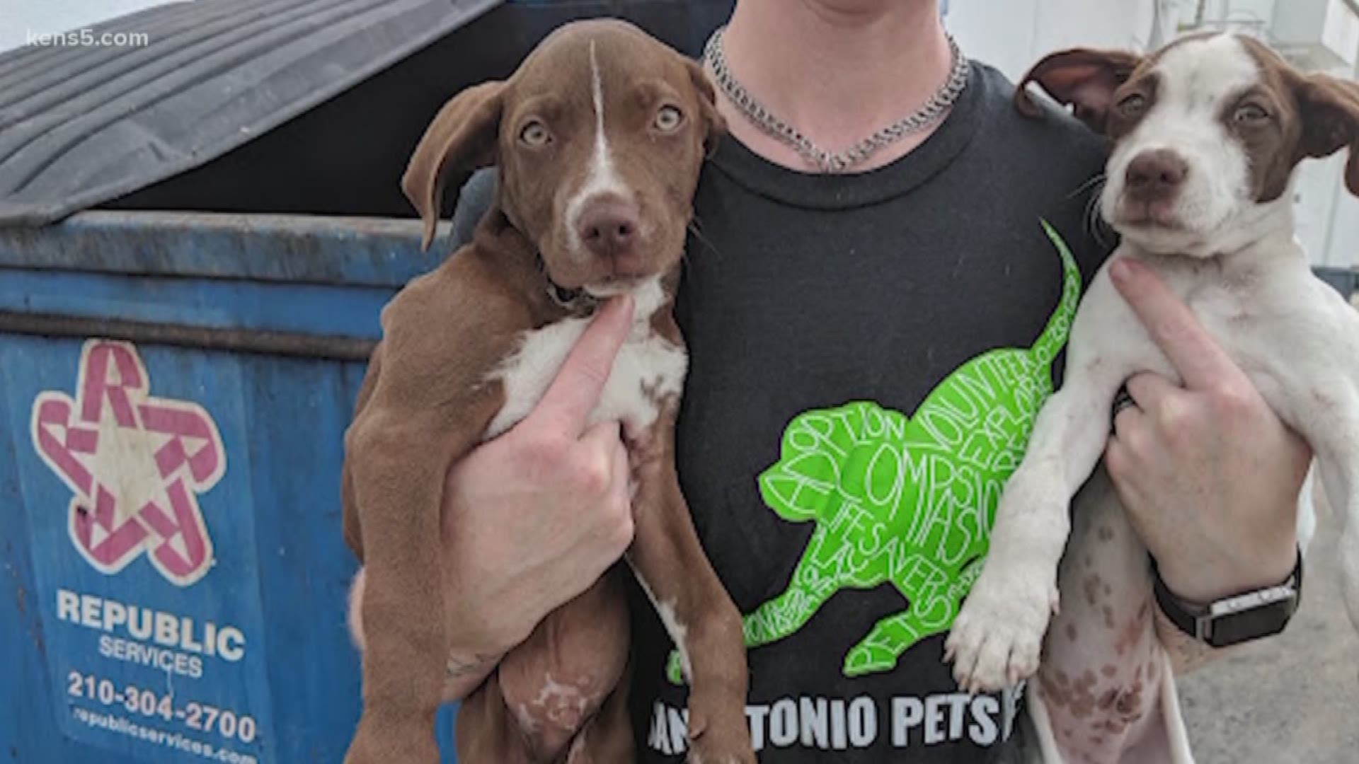 Two puppies were left behind a dumpster on Friday by a man who tried to turn them in to San Antonio Pets Alive!