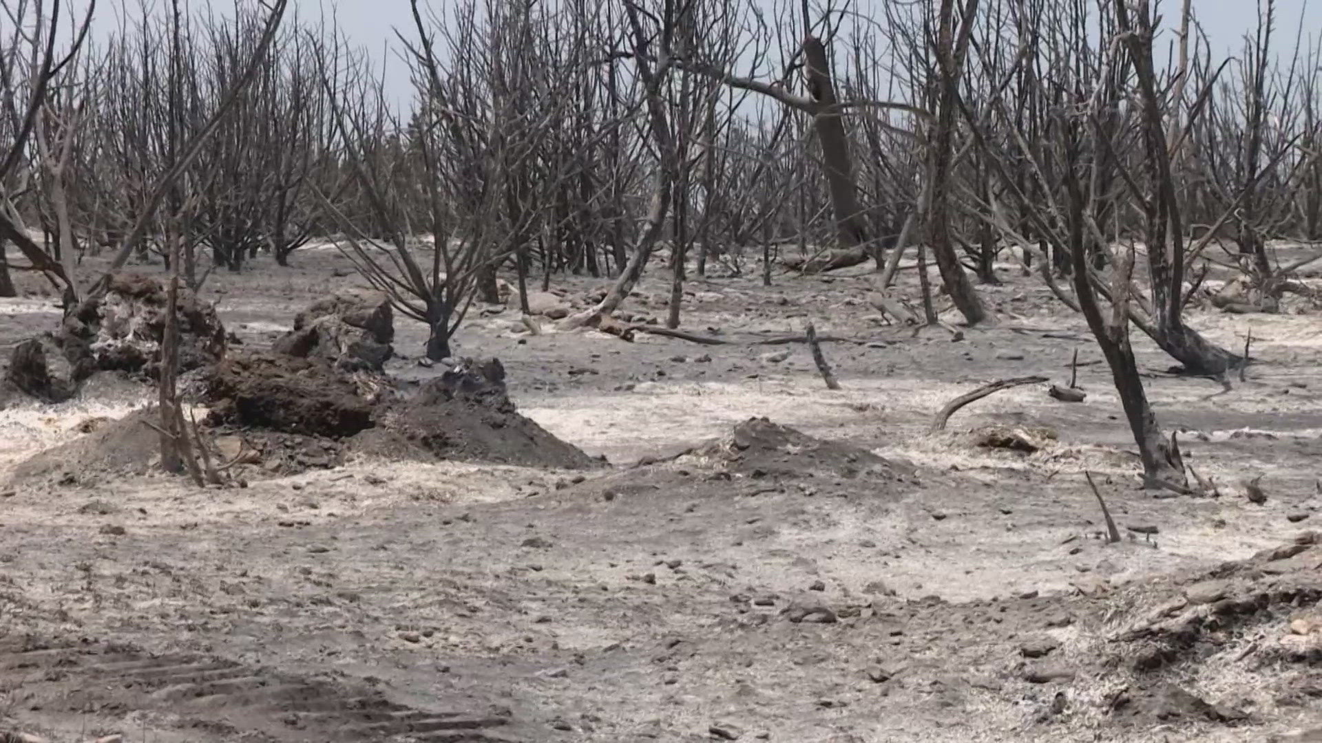 Firefighters say the fire was started by burning debris.