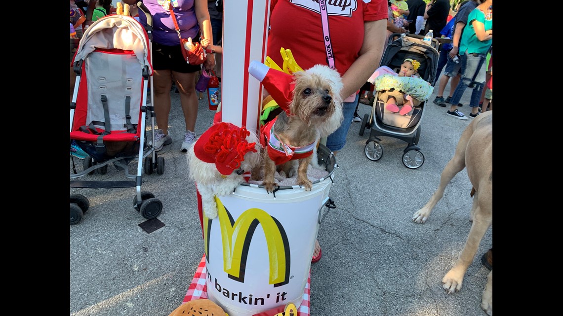 SAN ANTONIO! Get your pet costumes ready! 🐾 Pre-registration for