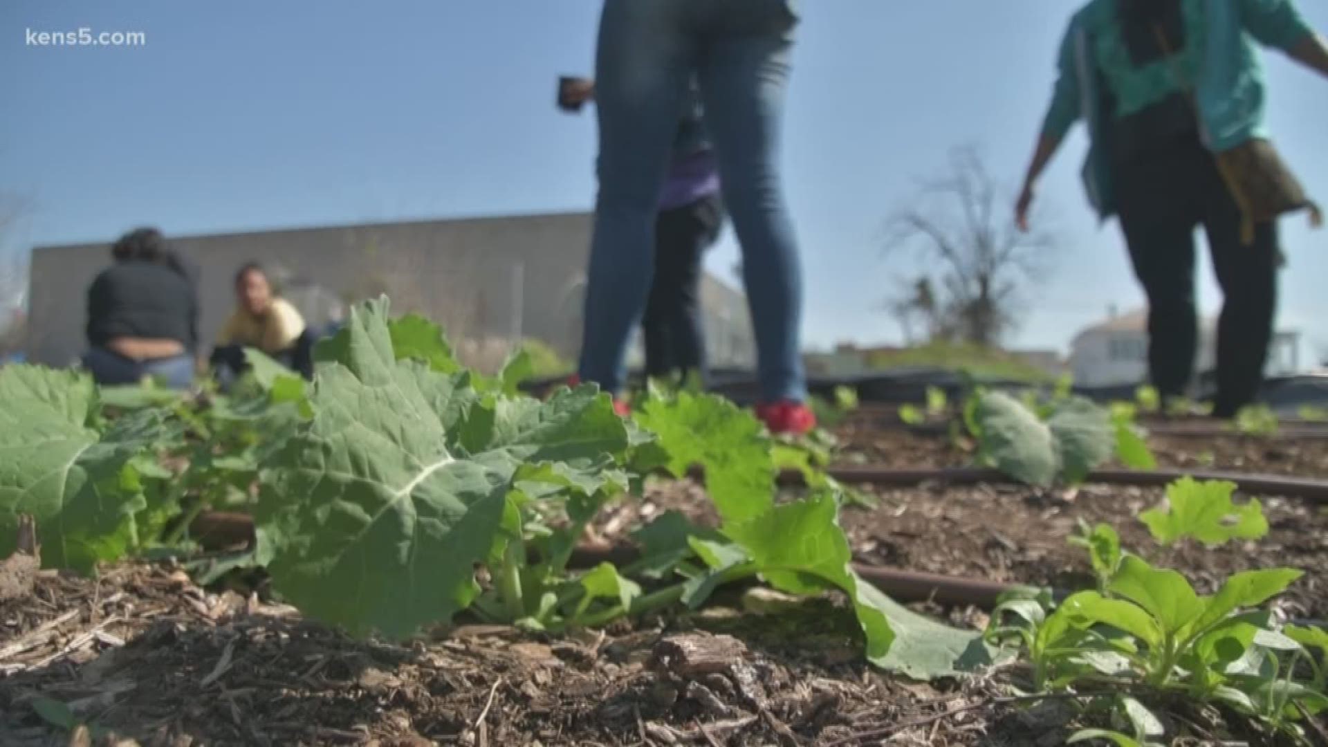 Eyewitness News Reporter Marvin  Hurst has more on the Charles Roundtree Bloom Project.
