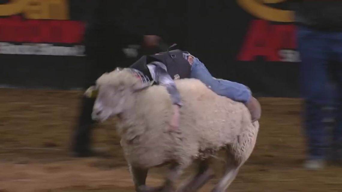 Mutton Bustin' at the San Antonio Rodeo, February 20