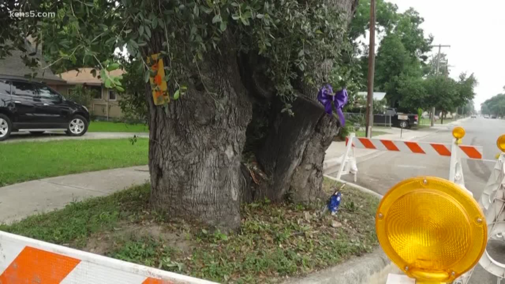 The Uvalde 6-year-old died at the hospital after being struck by a partially-hanging limb on a tree the family alleges shouldn't have been there in the first place.