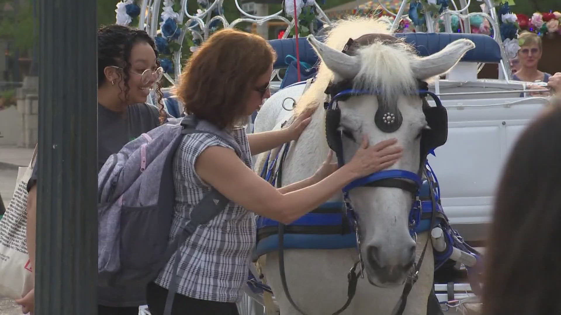 The San Antonio Transportation and Infrastructure Committee unanimously voted to get ride of the carriages in one to three years.