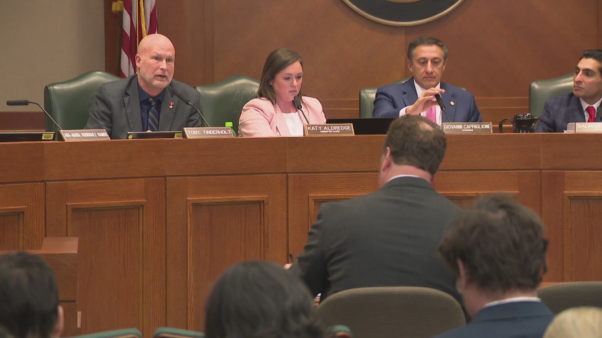 The new state committee held its first hearing at the state capitol.