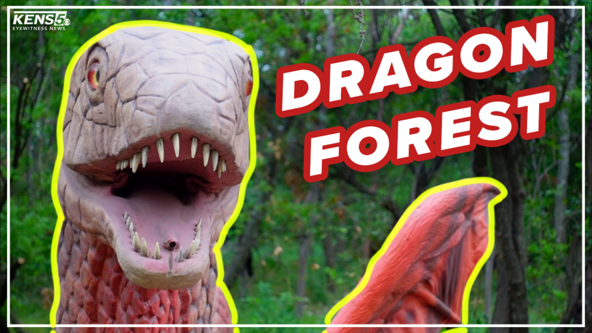 The new Dragon Forest installation at the zoo brings a little bit of a fantasy to a familiar Alamo City attraction.