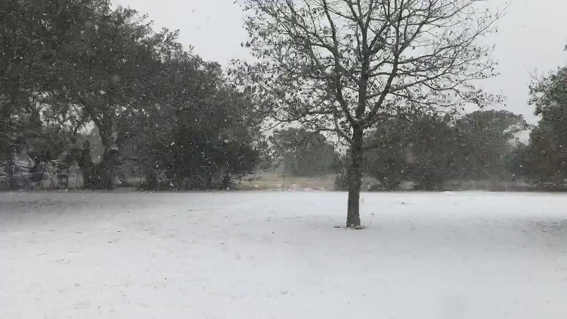 Snow in New Braunfels
