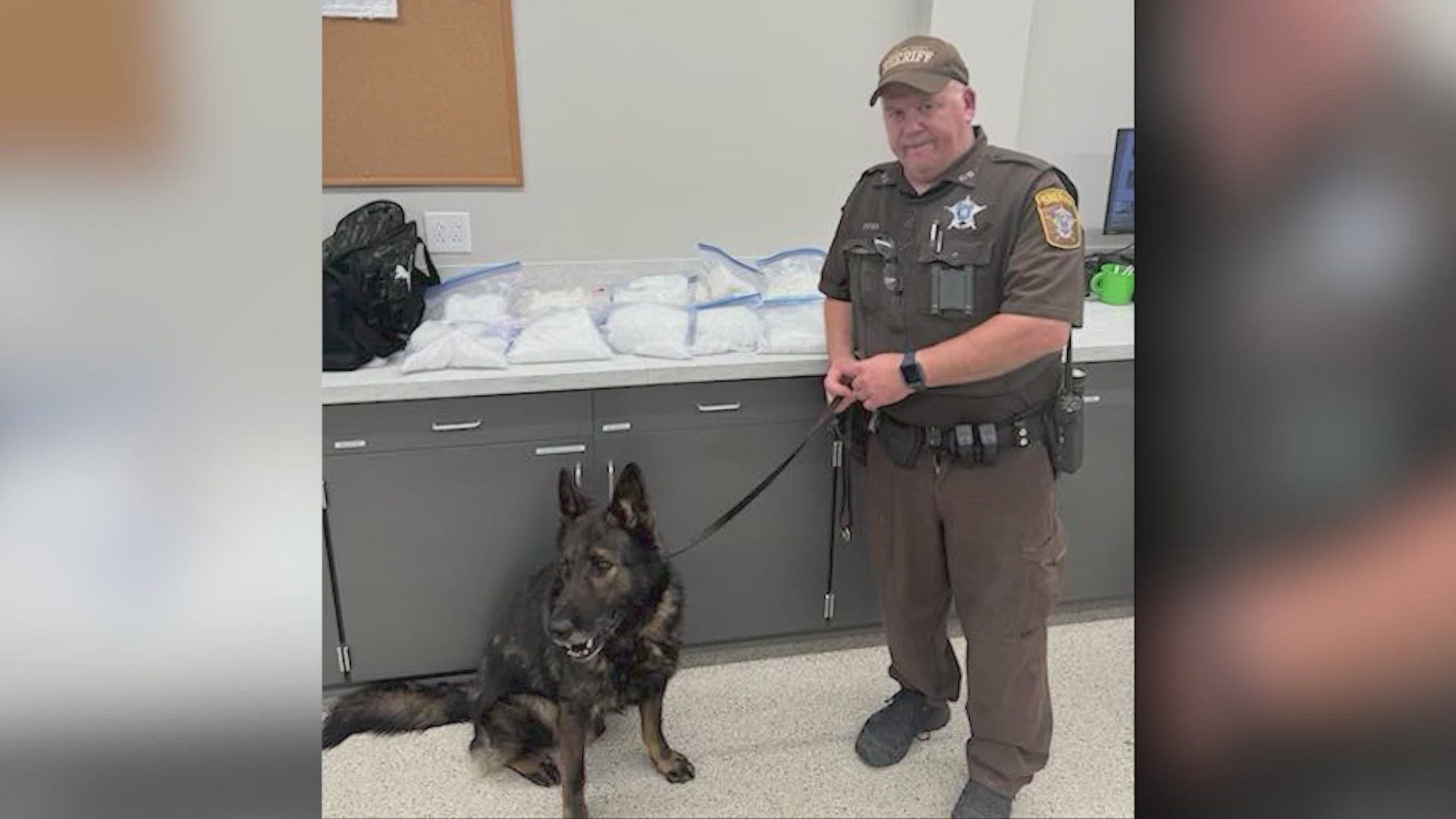 The Guadalupe County Sheriff provided KENS 5 numbers on the number of drugs confiscated last year from K9 and the Narcotics Division.