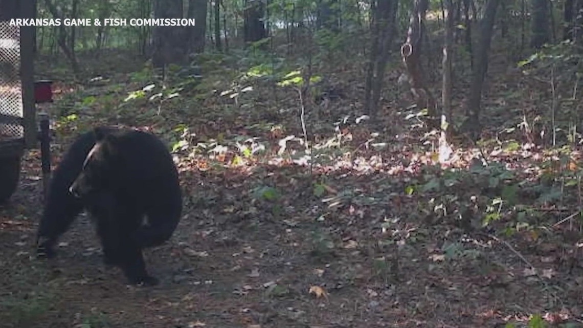 9f6d8d90-e455-4aec-81a7-