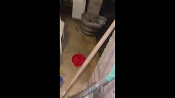 Large snake slithers onto San Antonio porch during severe storm