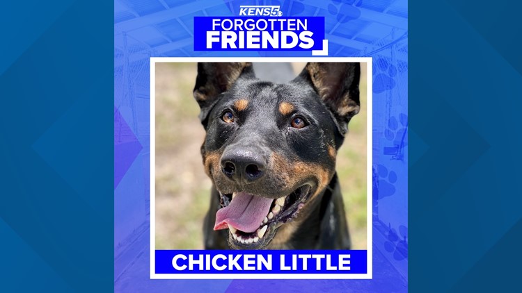 Forgotten Friends: Chicken Little can't wait to go on an adventure with you!