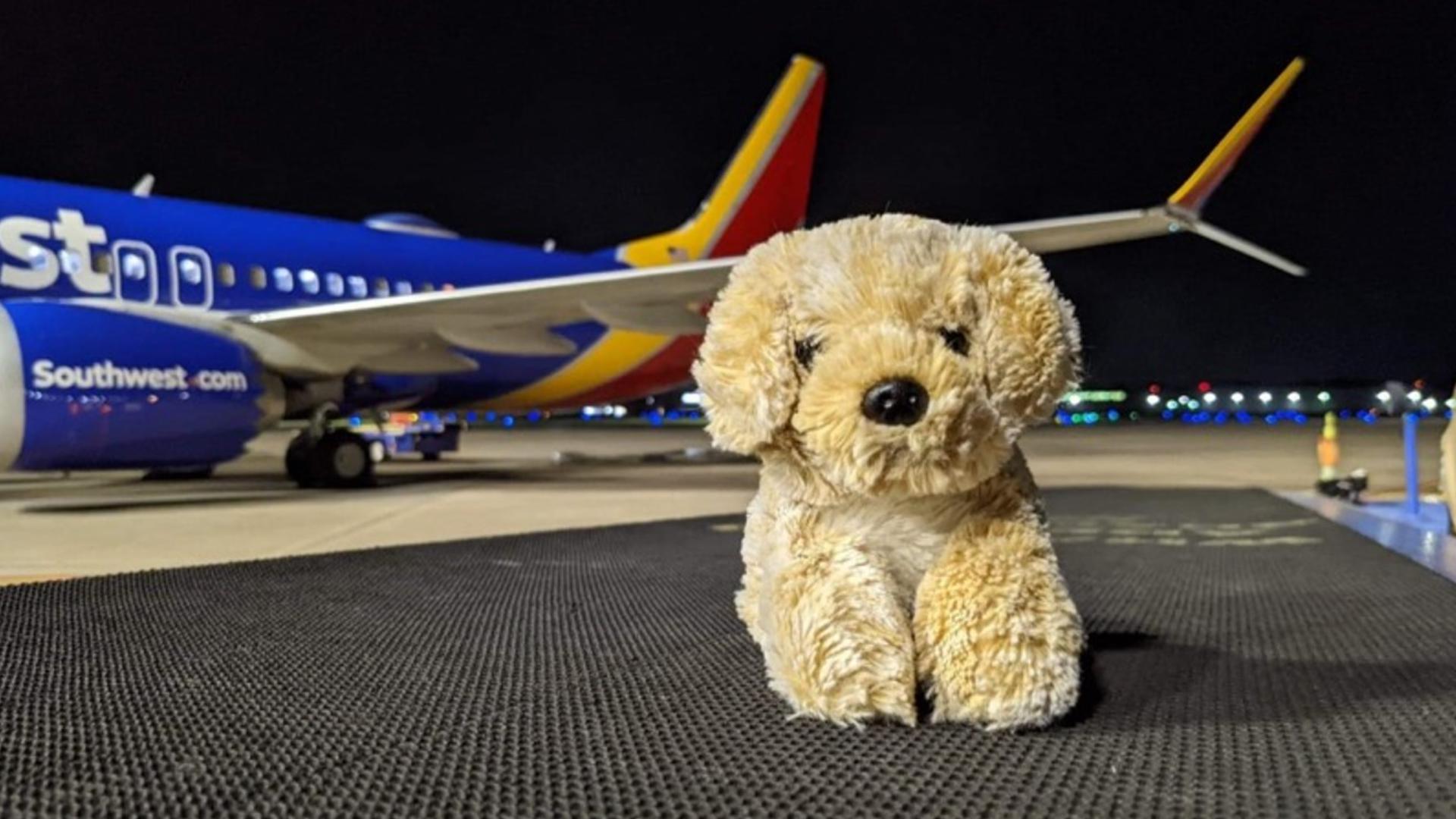 Southwest Airlines with the save after young girl leaves beloved ...