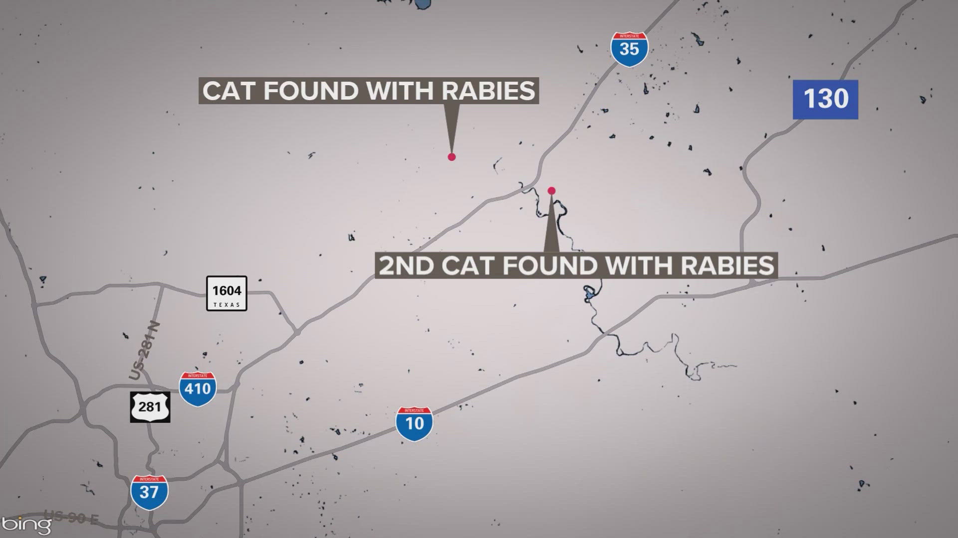 Officials are urging people to avoid contact with skunks, foxes, and any other wildlife especially if they exhibit strange behavior.