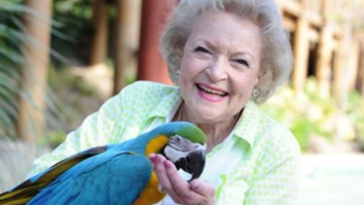San Antonio Zoo offers special deals on Betty White's 100th birthday