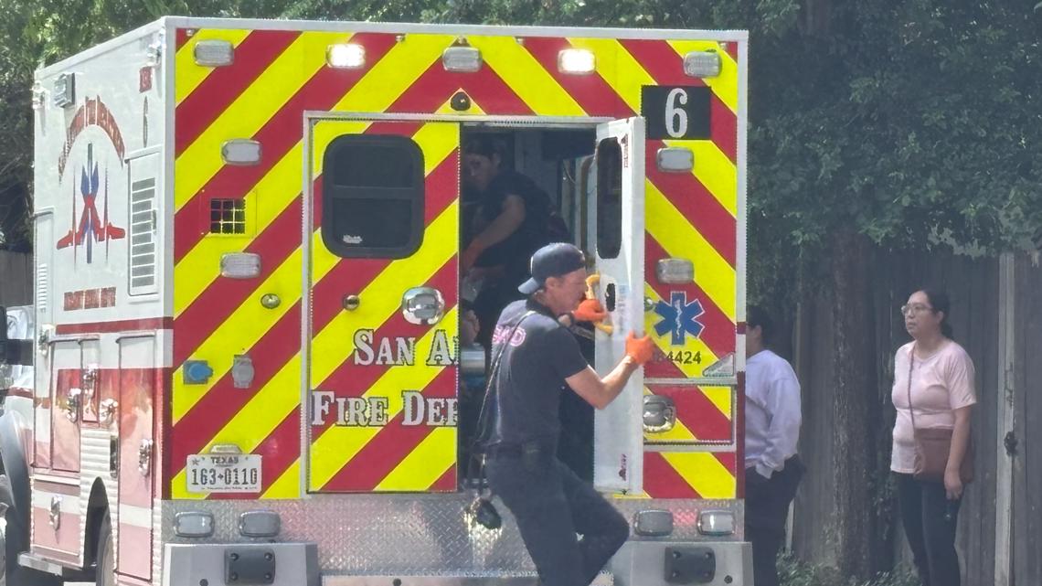 Man hospitalized after bee attack while trimming tree near downtown