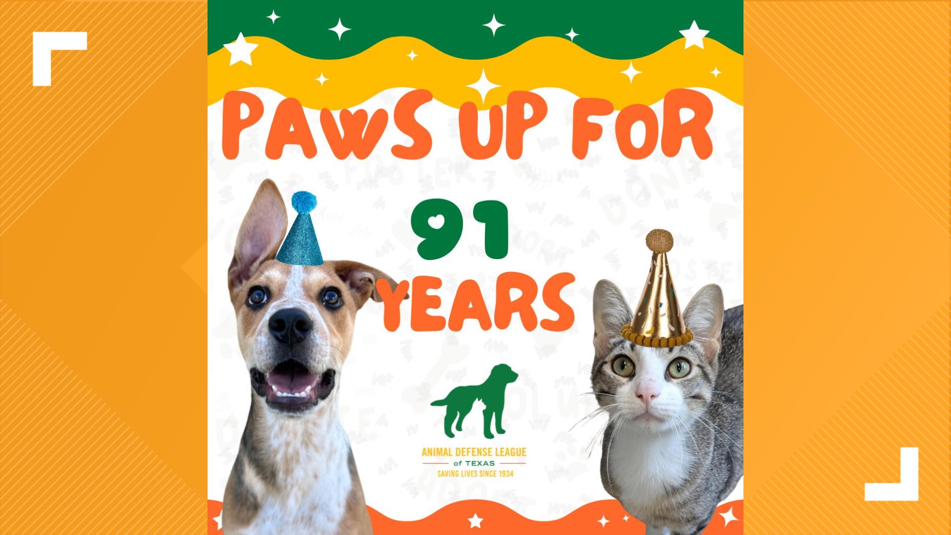 There is no charge for adoptions until June 29 in celebration of their 91st birthday.
