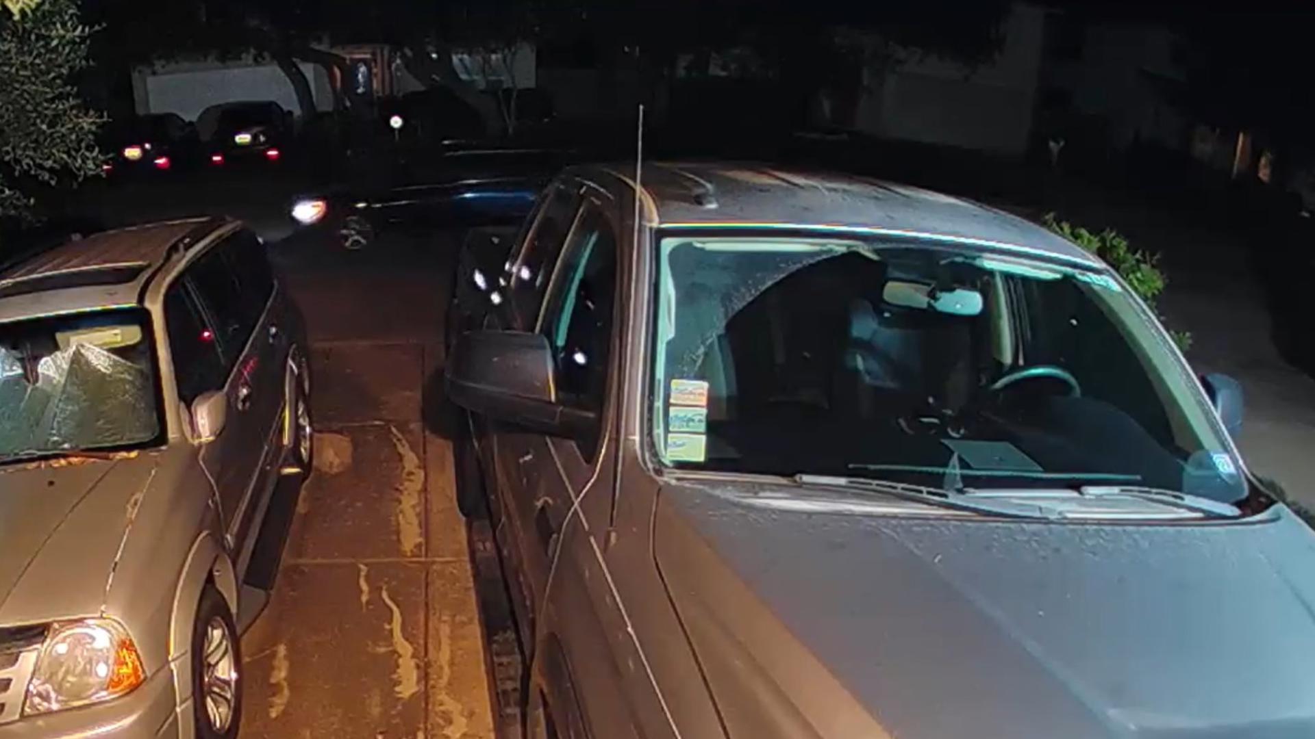 Texas father and son arrested after shooting leads to drug, weapons ...