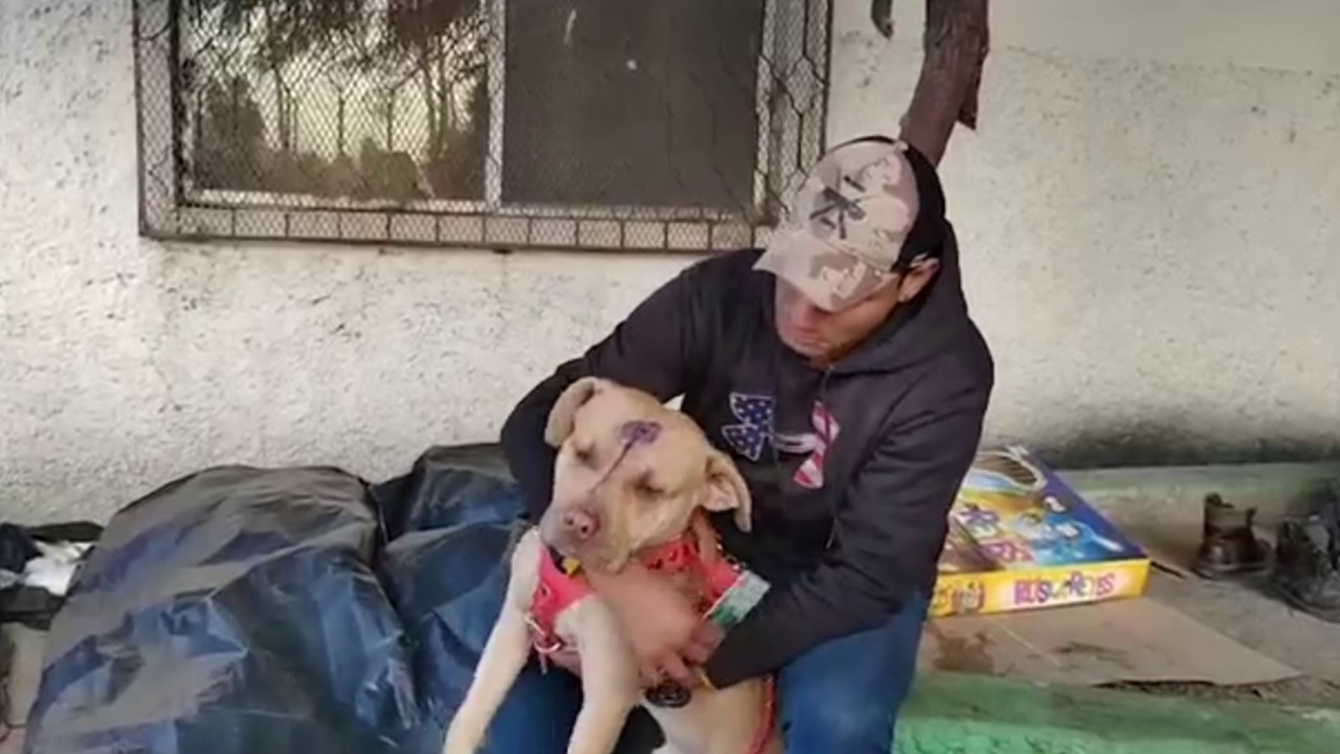 A Venezuelan family is traveling through Mexico with their dog, Samson, in hopes of a better life in the United States.