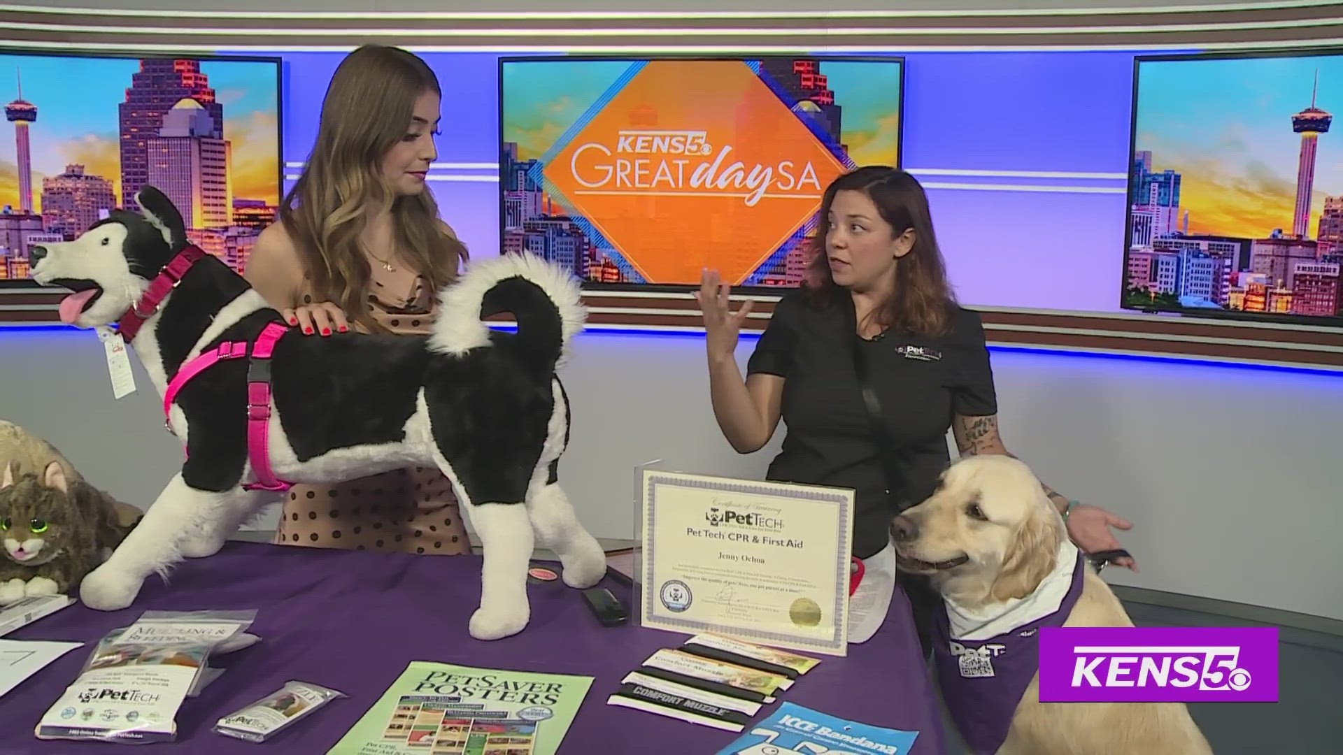 Jessica Davis with Arfordable Dog Training gives us great advice on how to keep pets safe this summer, with special guest, Diego!