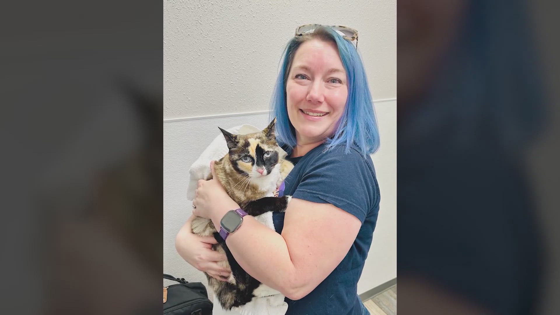 A Utah couple says they packed the box to return some shoes and didn't realize their cat was hiding inside.