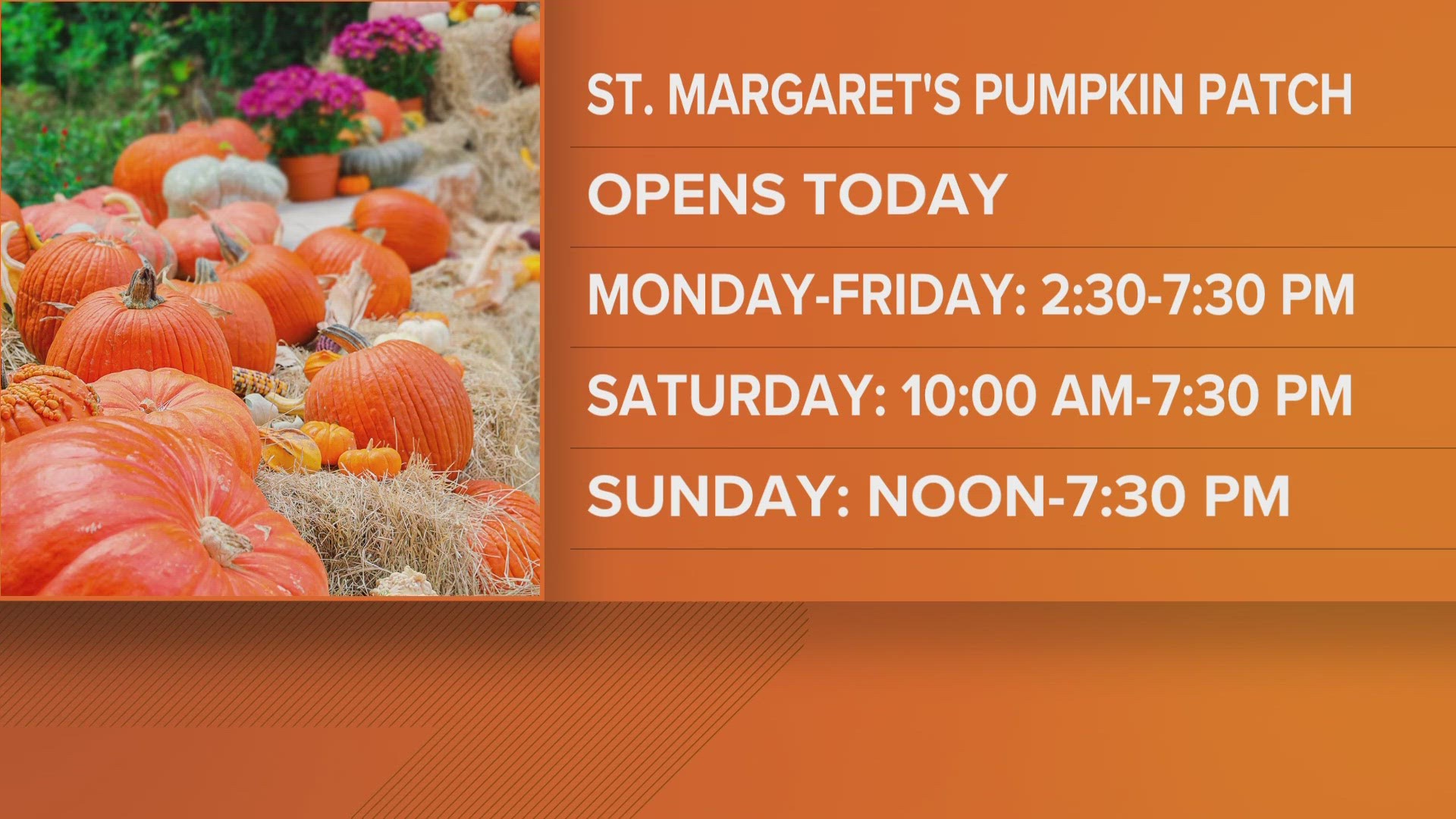 There's a lot to this pumpkin patch including a kiddie hay maze, plenty of  fall photo opportunities and different special events.