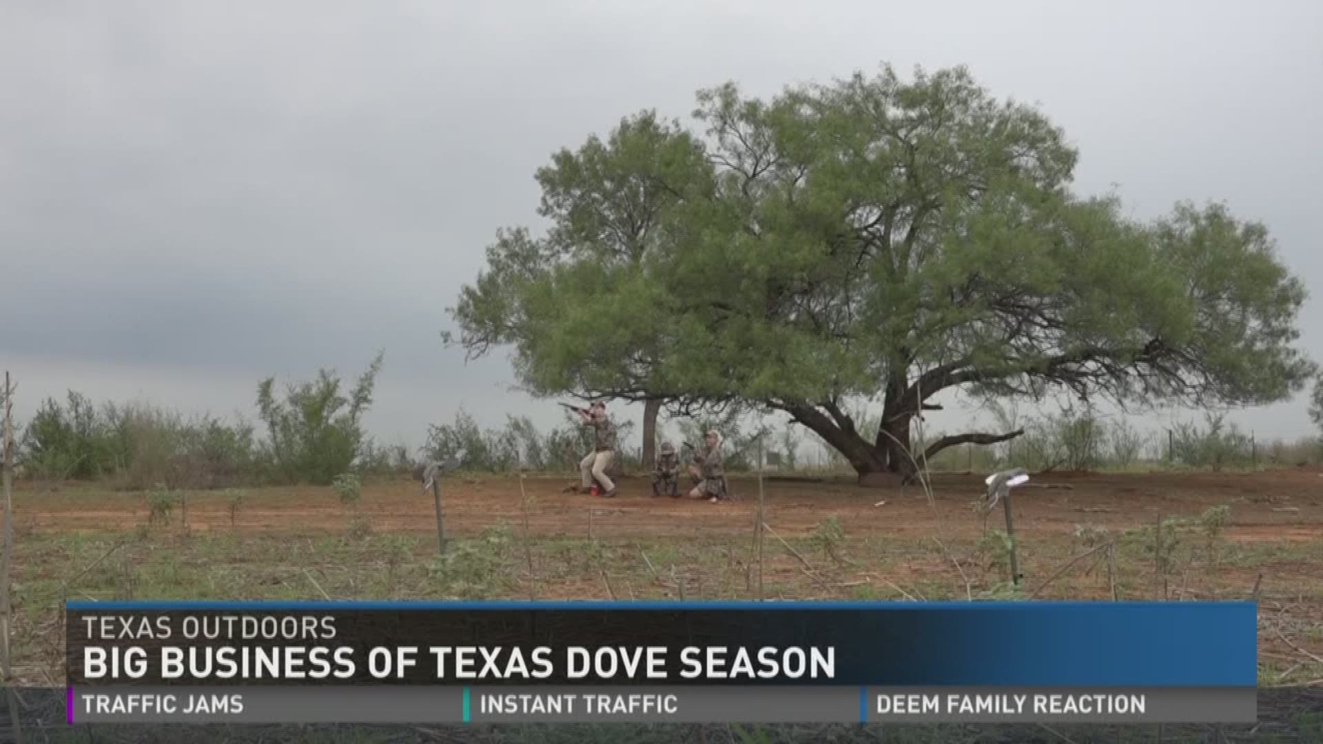 When fall its, for hunters that means dove season. It's the first opportunity to shake the rust out the barrels and it's turned into big business.
