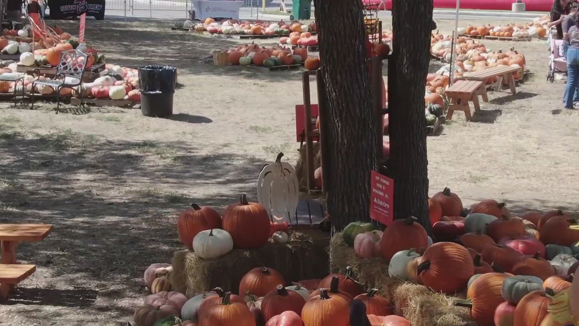 With a week left until Halloween, there's still time to carve out some fun at Universal City's ninth annual free community pumpkin patch.