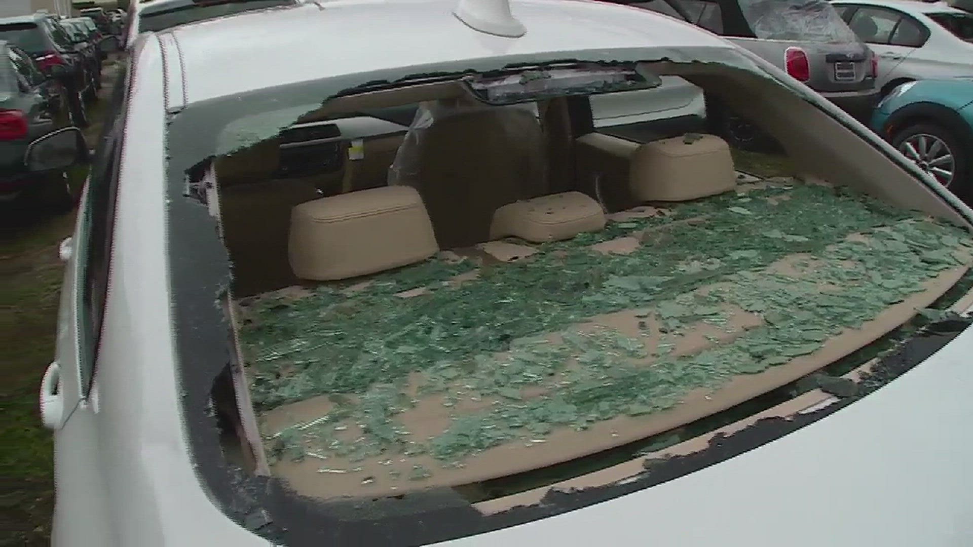 Hail Sale' in the Works After Storm Damages Cars at Dealerships