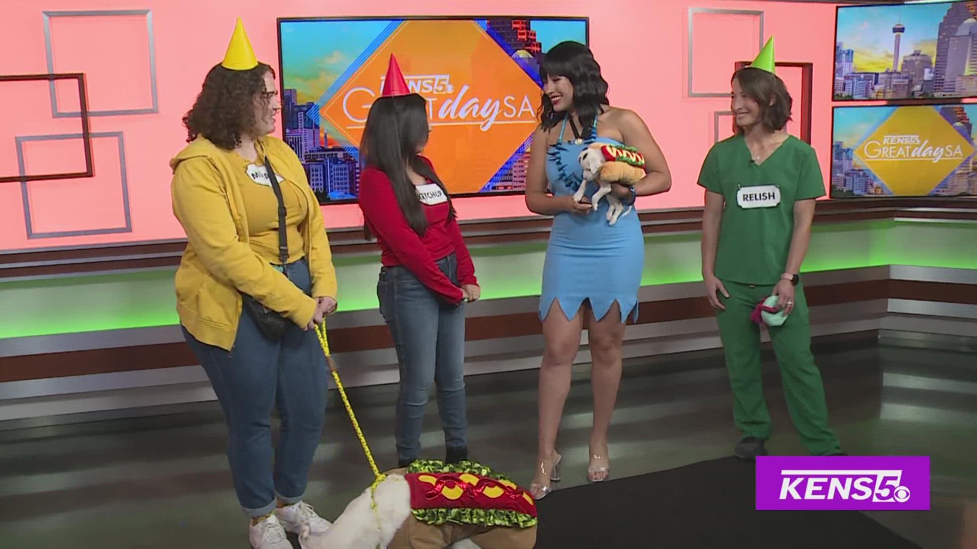 SA Humane is sharing some pet safety tips you should keep in mind tonight while you celebrate Halloween!