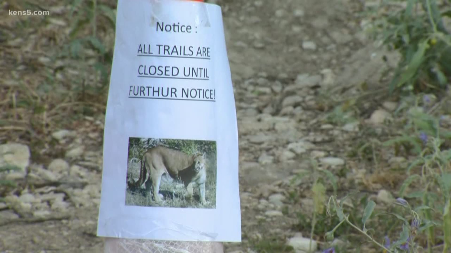 Texas Parks and Wildlife is working on the situation involving a young mountain lion.