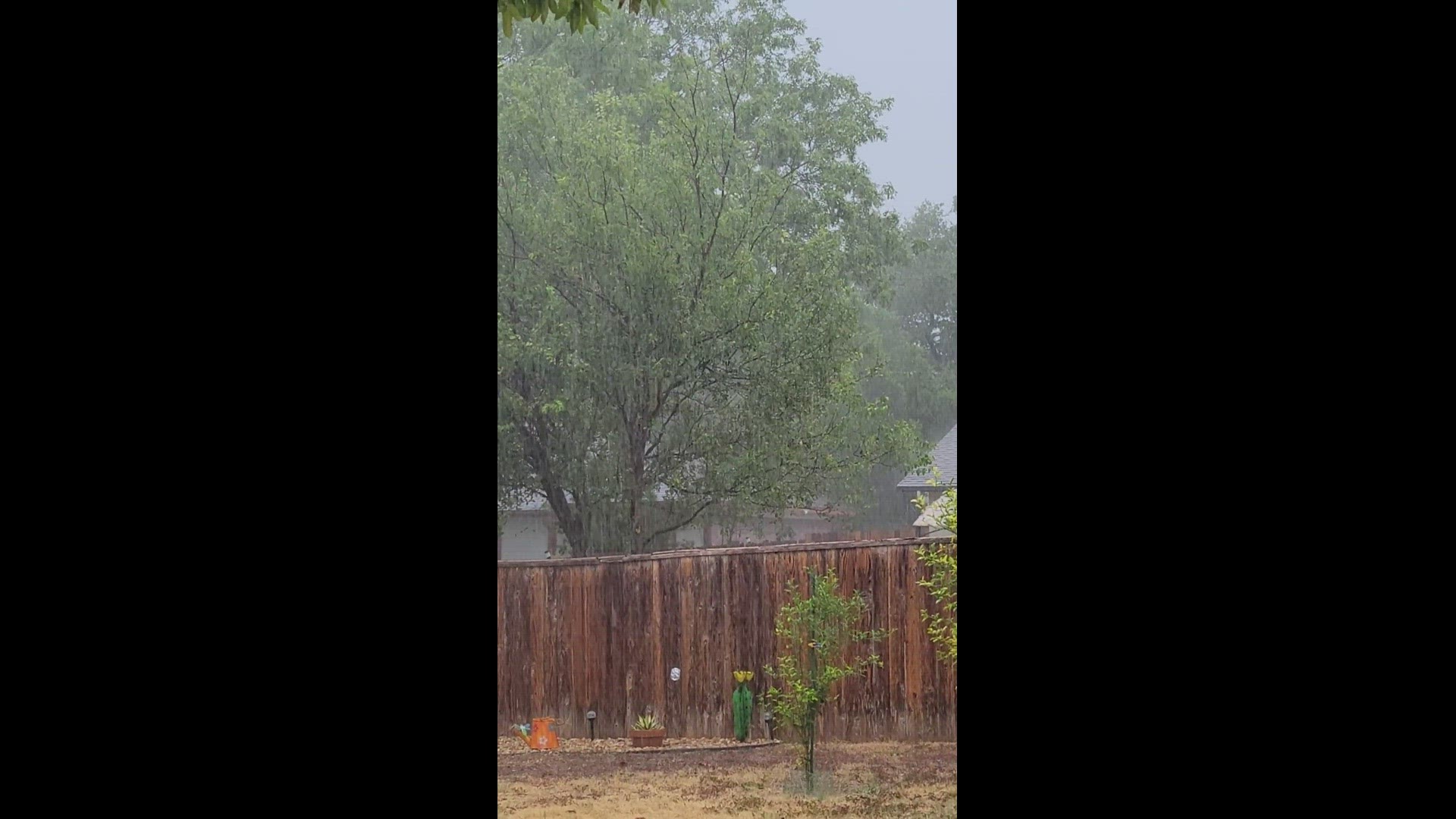 Rain storms
Credit: Sandra McBride