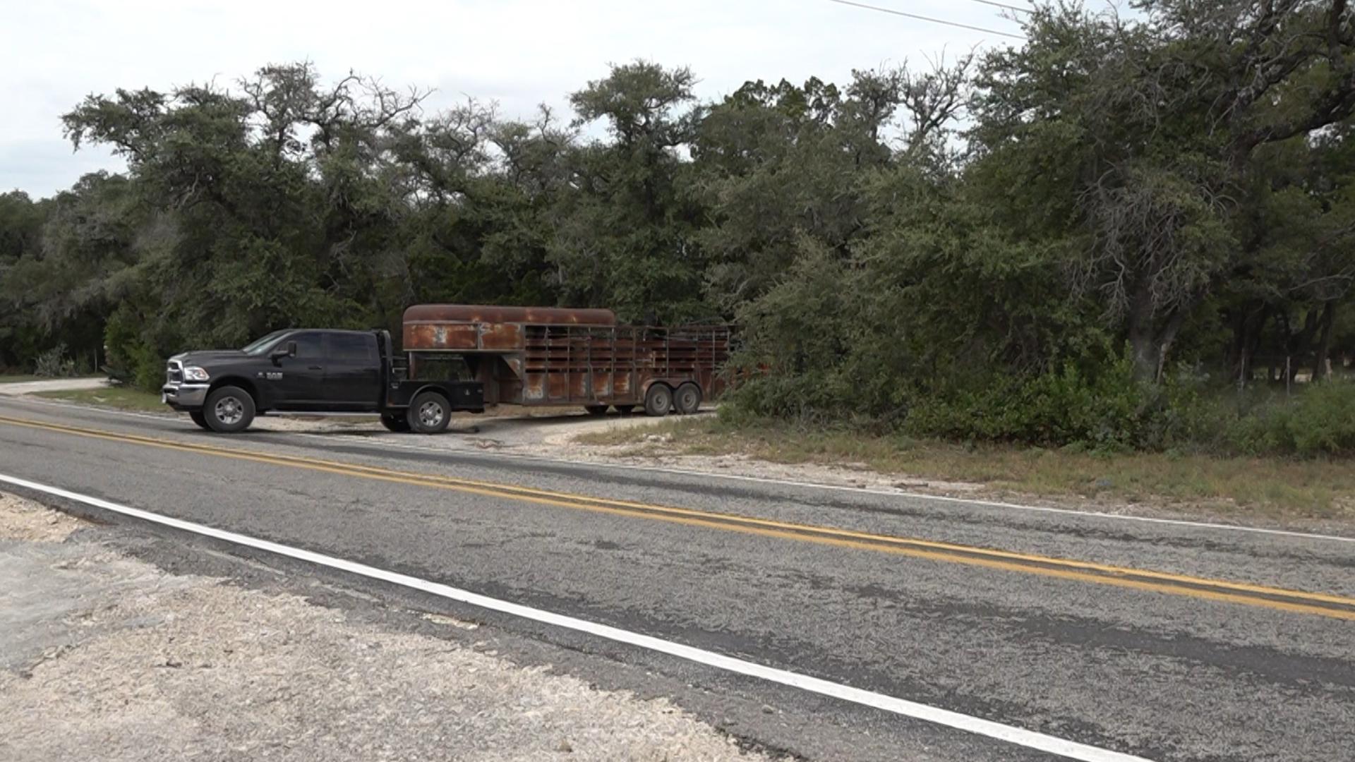Dead, neglected animals discovered at Bandera County sanctuary amid cruelty investigation