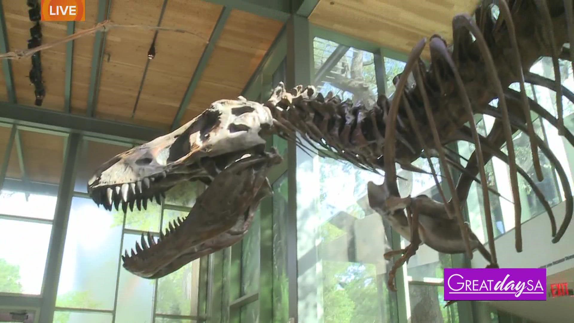 Paleontologist, Dr. Thomas Adams, PhD, shares what to expect at the Witte Museum Dinosaur exhibit