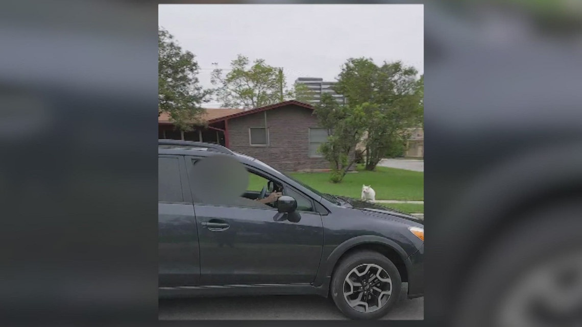 SAPD: Man linked to recent dog shootings dies from self-inflicted gunshot wound