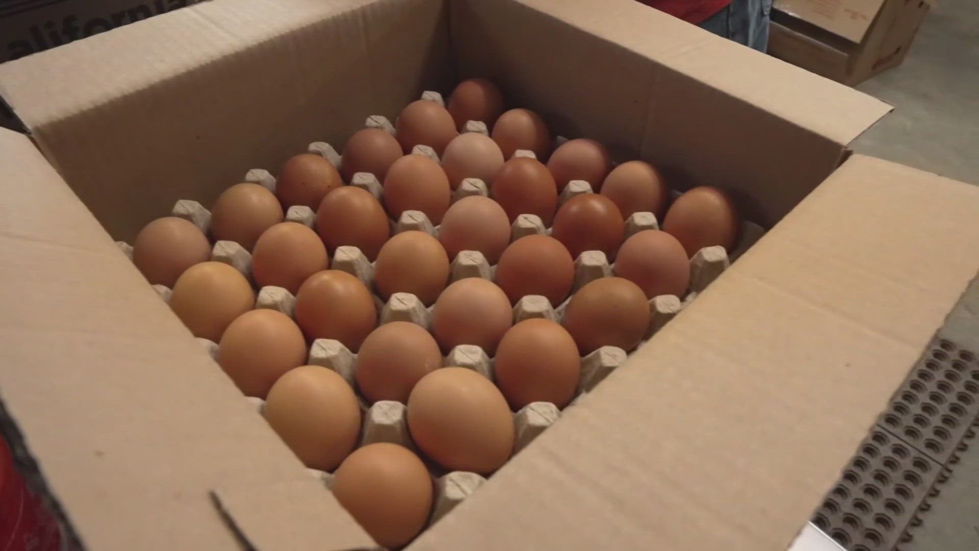 Turkey is set to export 420 million eggs to the United States this year.