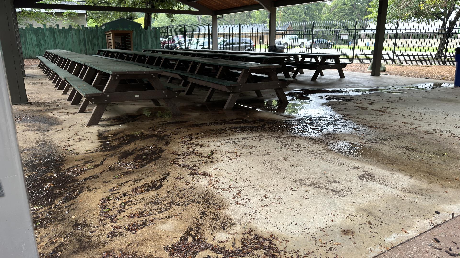 Zoo reopens after Tuesday's flooding, needs your help | kens5.com