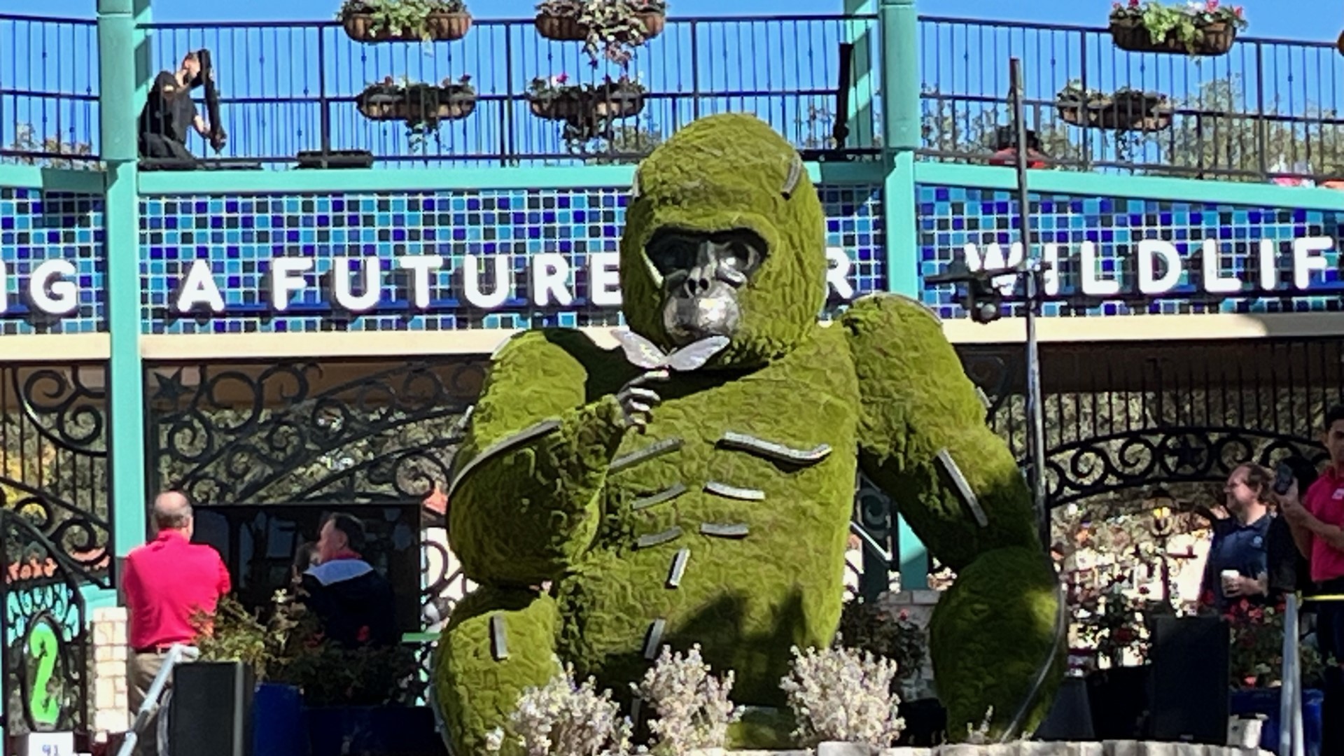 San Antonio Zoo offering discounted Locals Day Sunday